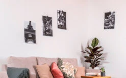 Silwy® Flex Magnethaken Inkl. Metall-Nano-Gel-Pads 5 Cm 8-tlg. Schwarz -Campingprodukte Geschäft 336857 2526568