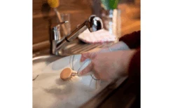 Chinchilla Wechselköpfe 3 Stück Aus Holz Inklusive Spülbürste