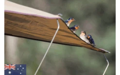 Gordigear Dachzelt Plus Für 3 Personen Mit Staufläche 165 X 320 Cm Grün -Campingprodukte Geschäft 737351 4968530